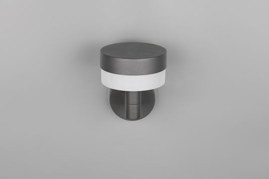 Trio Lighting Mackenzie Επιτοίχιο Εξωτερικό Φωτιστικό LED