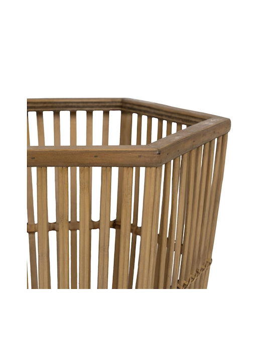 Ixia Regal Σετ 2 Γλάστρες Bamboo