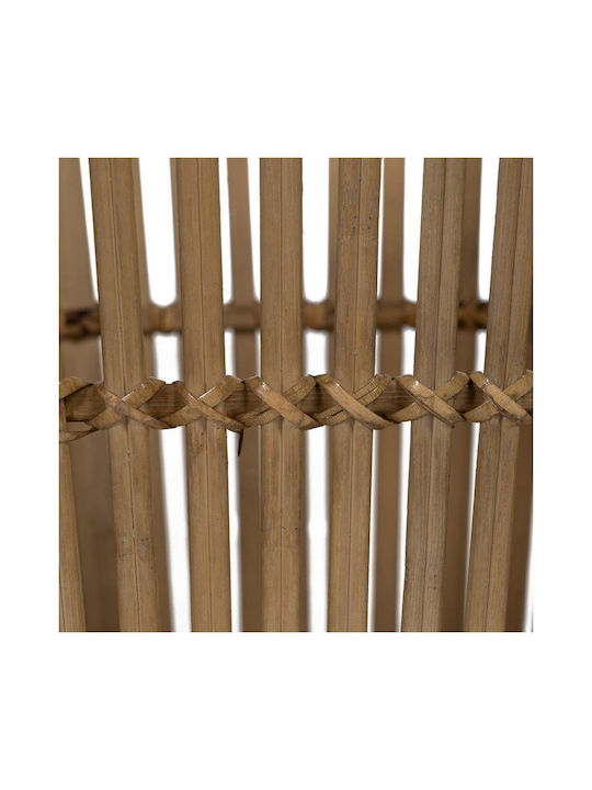 Ixia Regal Σετ 2 Γλάστρες Bamboo