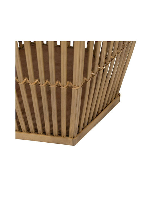 Ixia Regal Σετ 2 Γλάστρες Bamboo
