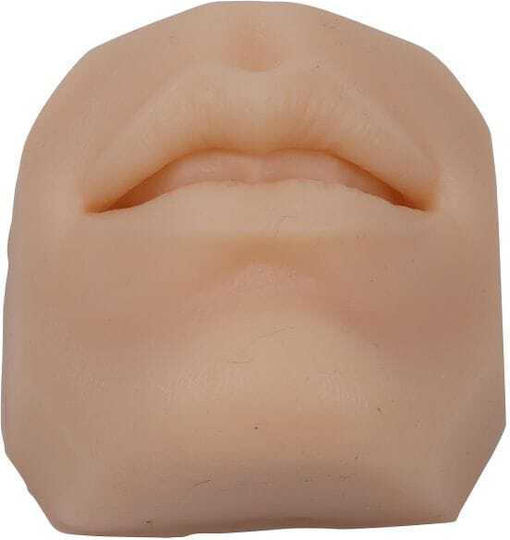 Erler Zimmer Suture Training Face Parts