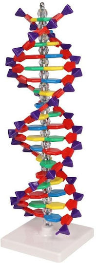 Doppelhelix DNA Erler Zimmer
