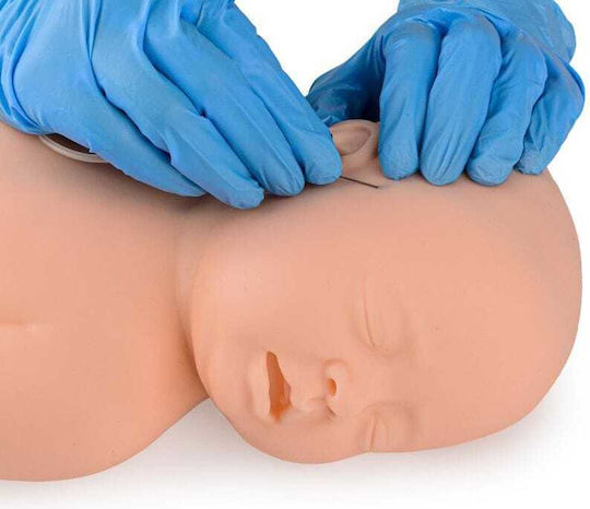 Model de Injectare în Cap pentru Sugari Erler Zimmer