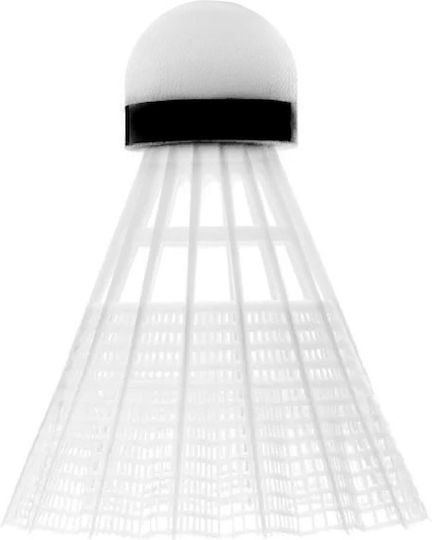 Teloon Badminton Shuttlecocks 6pcs