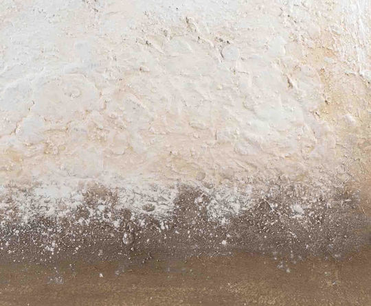 Andrea House Πίνακας σε Καμβά 80x100 cm