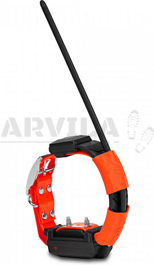 Dog Trace X30T GPS Elektrisches Hundehalsband