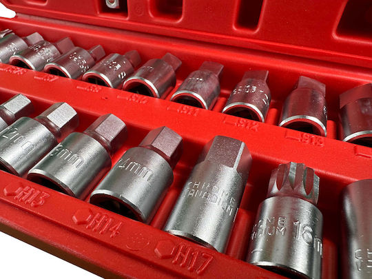 Σετ Καρυδάκια Κάρτερ Λαδιού 21 Τμχ Gebo Tools