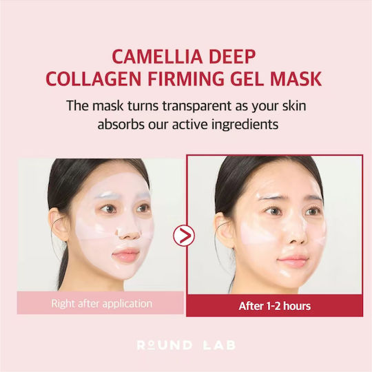 Round Lab Gesichtsmaske für das Gesicht für Festigung 1Stück 34gr