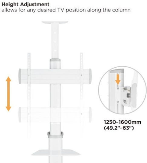 Techly ICA-TR48W Βάση Τηλεόρασης Δαπέδου έως 70" και 70kg