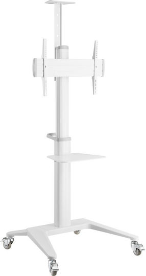 Techly ICA-TR48W Βάση Τηλεόρασης Δαπέδου έως 70" και 70kg