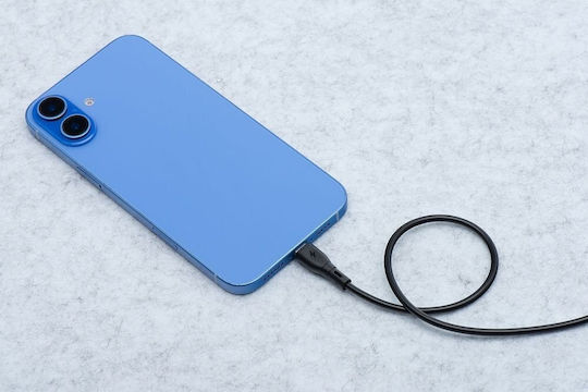 Blue Star USB 2.0 Cable USB-C male - USB-C 60W Μαύρο 2m
