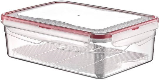 Orion Mittagsboxen Transparent 2,6 l