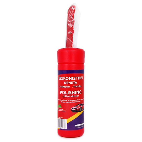 Autoline Car Dusting Brush