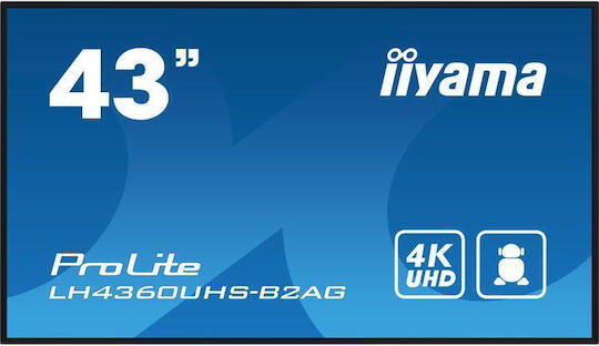 Iiyama 43" Commercial Display