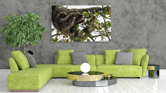 Πίνακας Sloth Baby In Tree Sloth Baby In Tree 90x60
