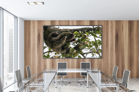 Πίνακας Sloth Baby In Tree Sloth Baby In Tree 90x60