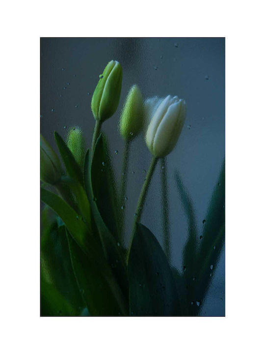 Πίνακας Tulips Behind Glass Τουλίπες Πίσω Γυαλί 60x90