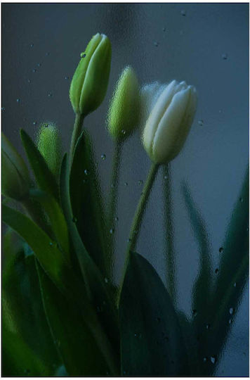 Tulips Behind Glass Painting 60x90
