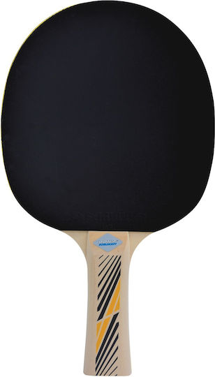Donic 300 Fsc Rachetă Ping Pong pentru Jucători Începători