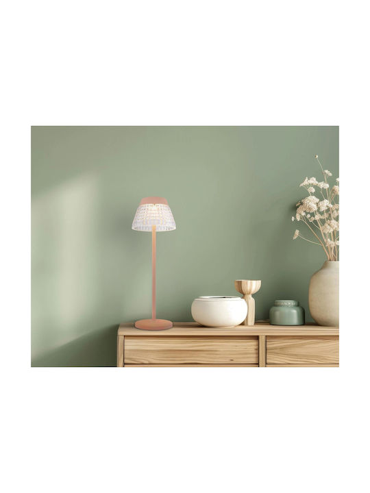 Globo Lighting Decorative Lamp Transparent