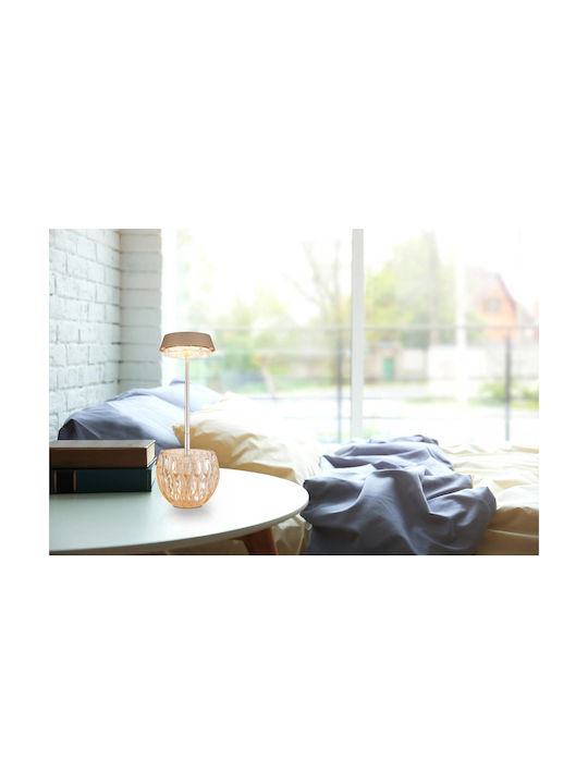Globo Lighting Decorative Lamp Transparent