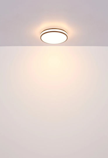 Globo Lighting Ceiling Mount Light Brown
