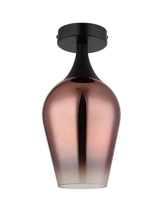 Globo Lighting Ceiling Mount Light Transparent
