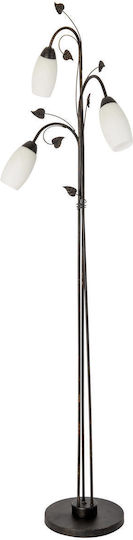Globo Lighting Floor Lamp Bronze