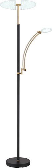 Globo Lighting Floor Lamp Brown