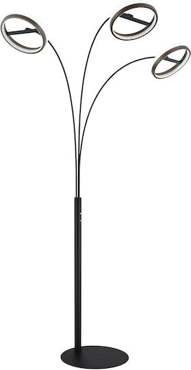 Globo Lighting Lampa de podea Gri