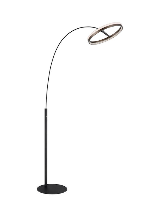 Globo Lighting Lampa de podea Gri