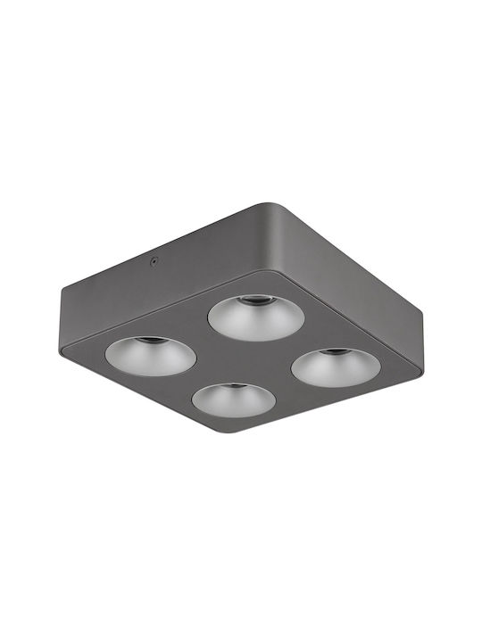 Globo Lighting LED Warm White Spot with 4 Lights in Gray Color