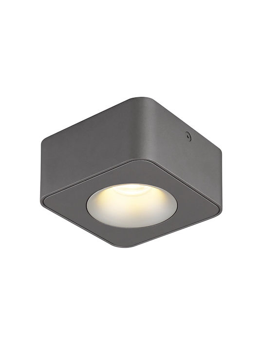 Globo Lighting Единично LED Топло бяло Спот в Сив Цвят