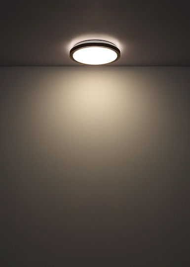 Globo Lighting Πλαφονιέρα Οροφής Καφέ