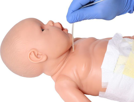 Erler Zimmer Manechin de antrenament medical