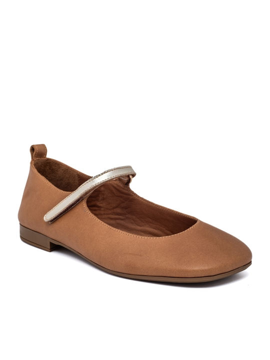 Air Anesis