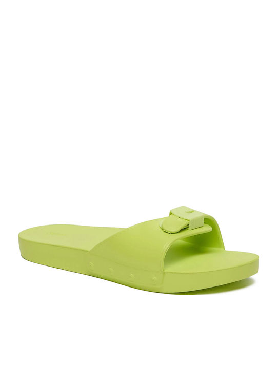 Scholl Scholl