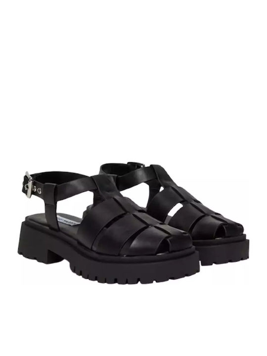 Steve Madden Steve Madden