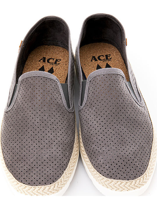 Ace1