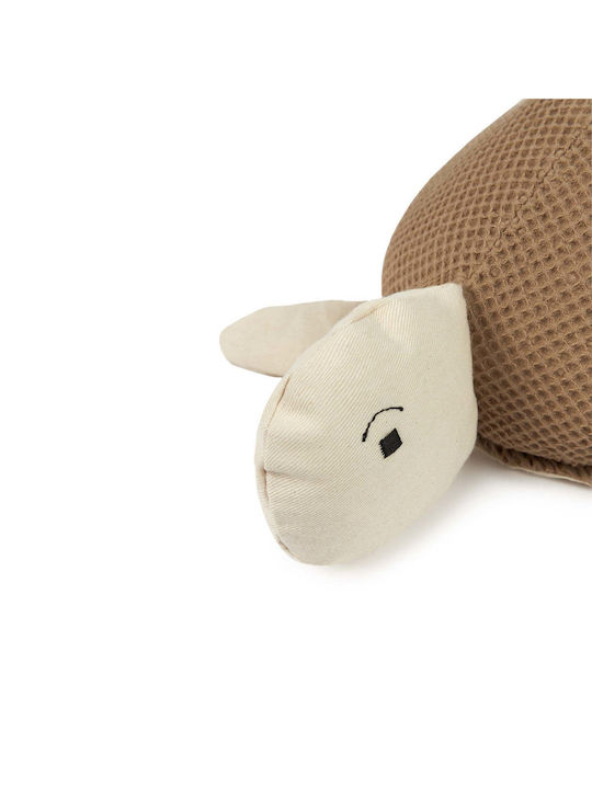 Wabi Sabi Turtle Pillow