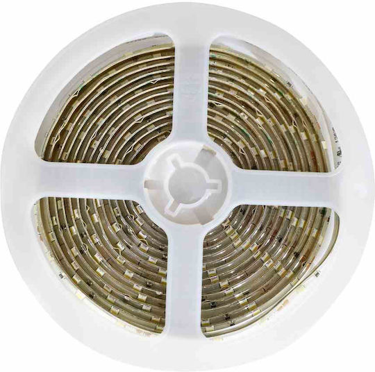 Eko Light Ταινία LED 12V Φυσικό Λευκό Φως 3m με Τροφοδοτικό