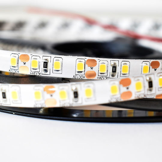 Eko Light Αδιάβροχη Ταινία LED 5m