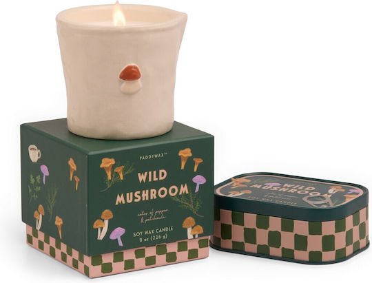 Wild Mushroom Φυτικό Κερί 226gr Κεραμικό Δοχείο Bistro Mushroom Paddywax
