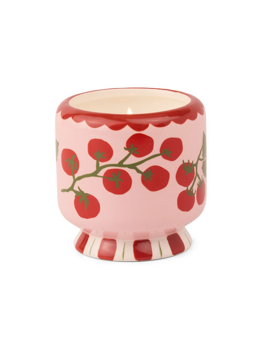 A Dopo Κεραμικό Κερί Σόγιας Tomato Vine 226gr Heirloom Tomato Paddywax