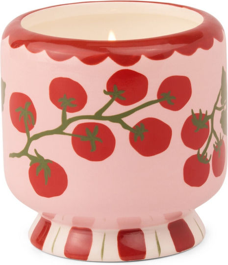 A Dopo Κεραμικό Κερί Σόγιας Tomato Vine 226gr Heirloom Tomato Paddywax A Dopo Κεραμικό Κερί Σόγιας Tomato Vine 226gr Heirloom Tomato Paddywax