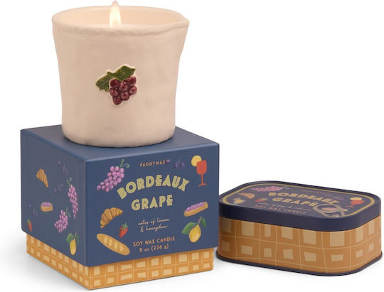 Bordeaux-Trauben Pflanzenbasierte Kerze 226g Keramikgefäß Bistro Trauben Paddywax