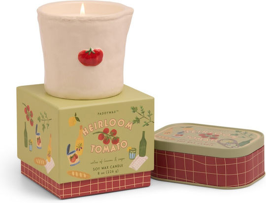 Paddywax Αρωματικό Κερί σε Βάζο με Άρωμα Γιασεμί 226gr