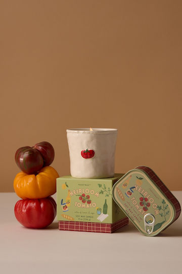 Paddywax Αρωματικό Κερί σε Βάζο με Άρωμα Γιασεμί 226gr