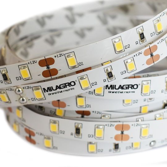 Eko Light Ταινία LED Φυσικό Λευκό Φως 5m
