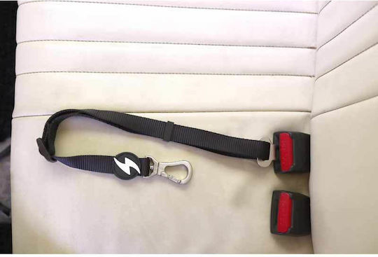Dashi Seatbelt Car for Dog Black